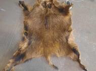 Grajewo ogłoszenia: Sprzedam - zdjęcie