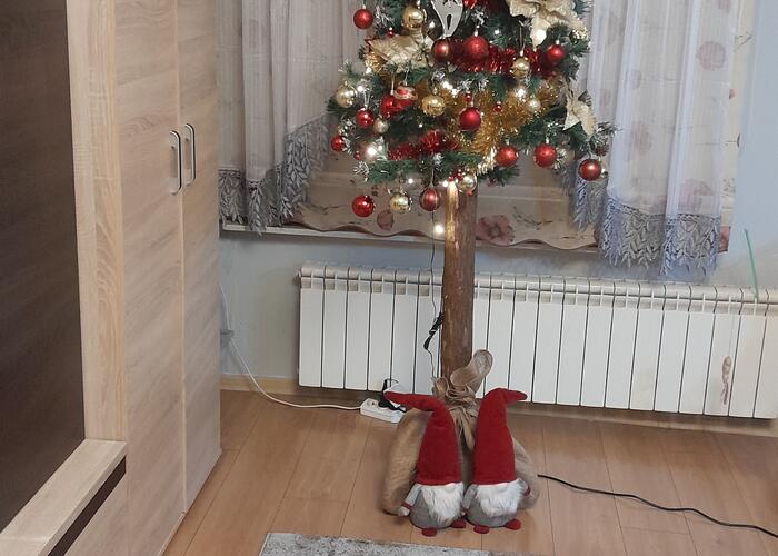 Grajewo ogłoszenia: Sprzedam sztuczna choinkę na pniu, okazała się za wysoka, użyta...