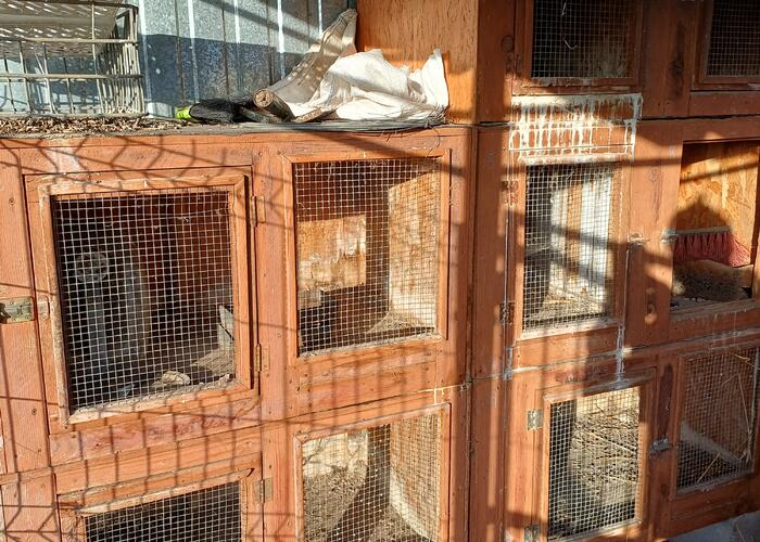 Grajewo ogłoszenia: Sprzedam klatki dla królików .